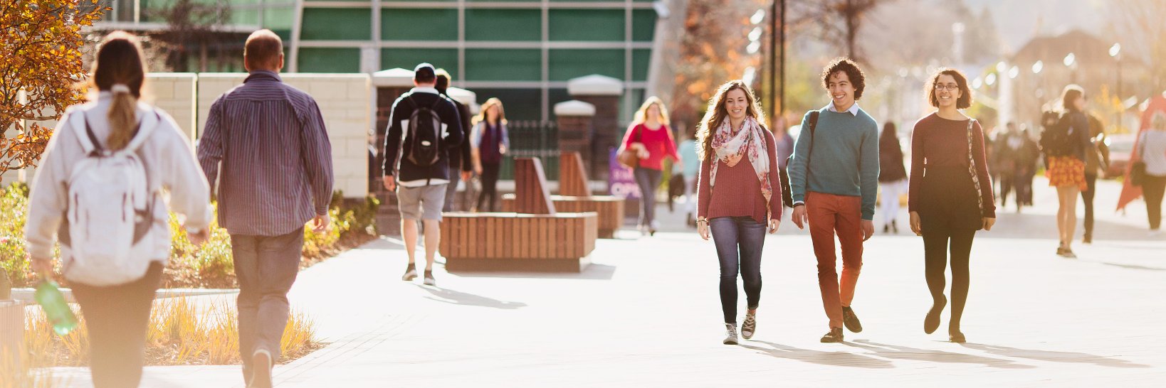University of Otago International banner