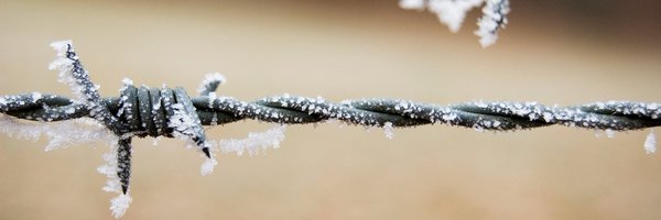 frostwire Profile Banner