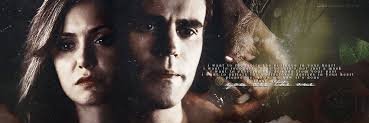 Stefan Salvatore banner