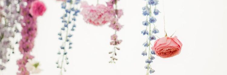 DebbieColelacey's profile banner image