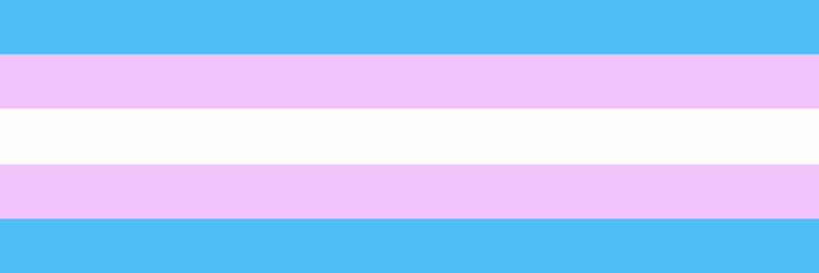 TransThoughts4U's profile banner image