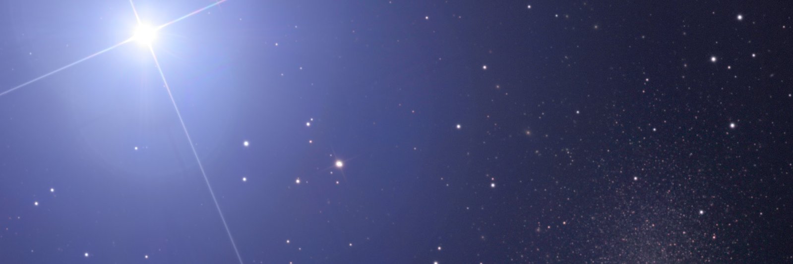 sable: 🌙🐺🐯 (🔞) banner