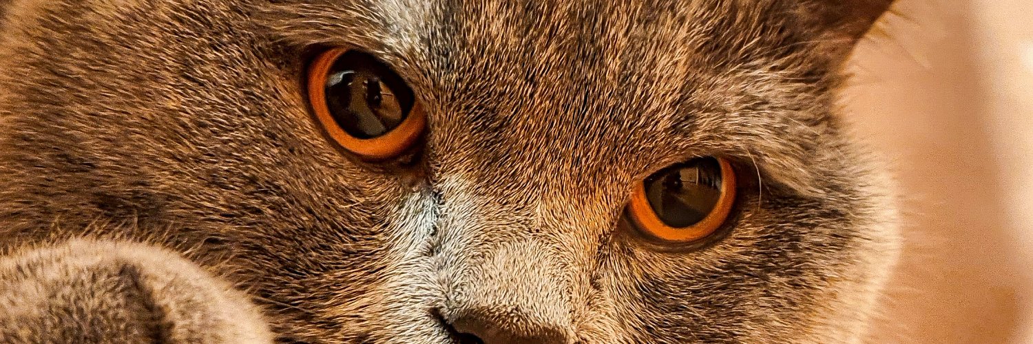 futureistik's profile banner image