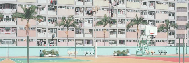 Pauline Sortino banner
