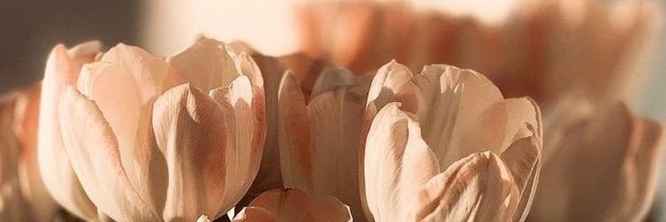 IBaiduri's profile banner image