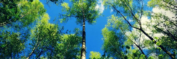 BiancaJMoore Profile Banner