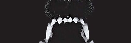 maccperry's profile banner image