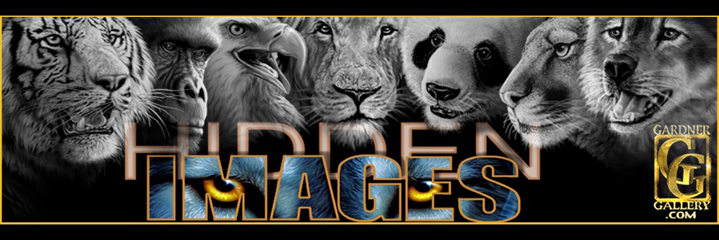 GardnerGallery's profile banner image