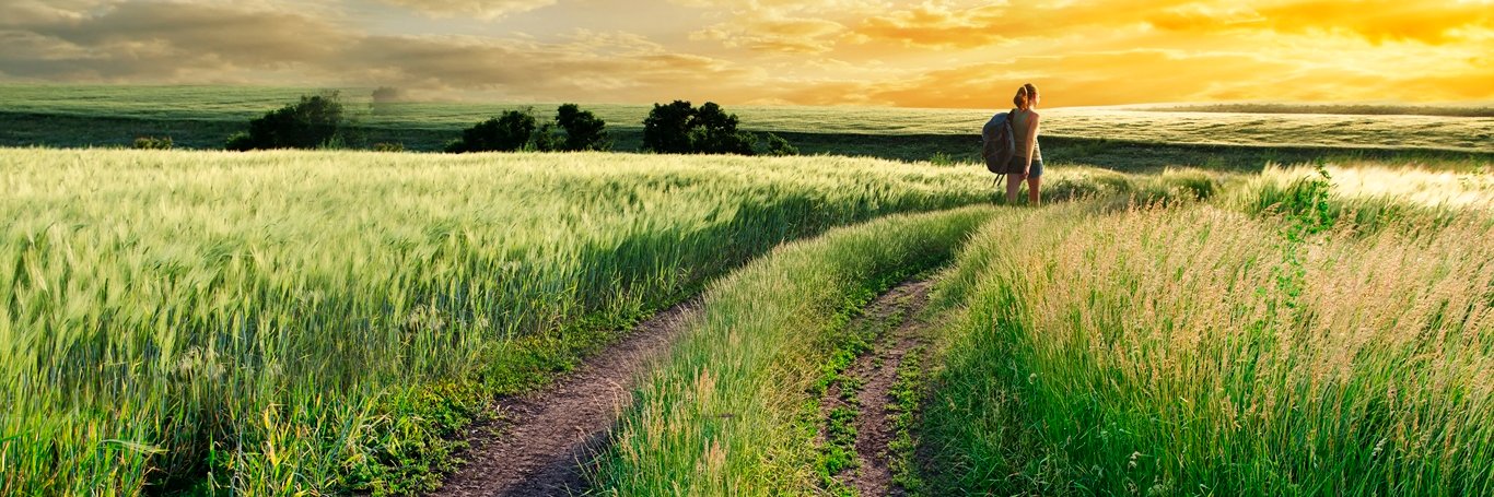 イクシル2nd banner