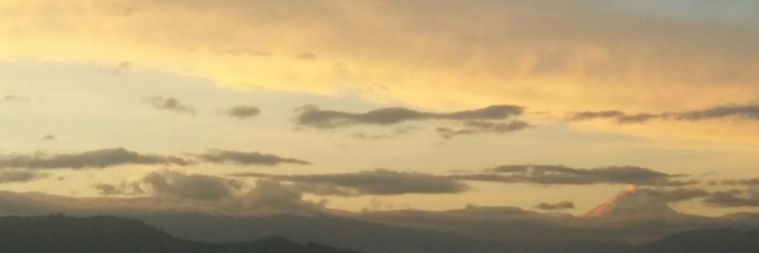 brrozp's profile banner image