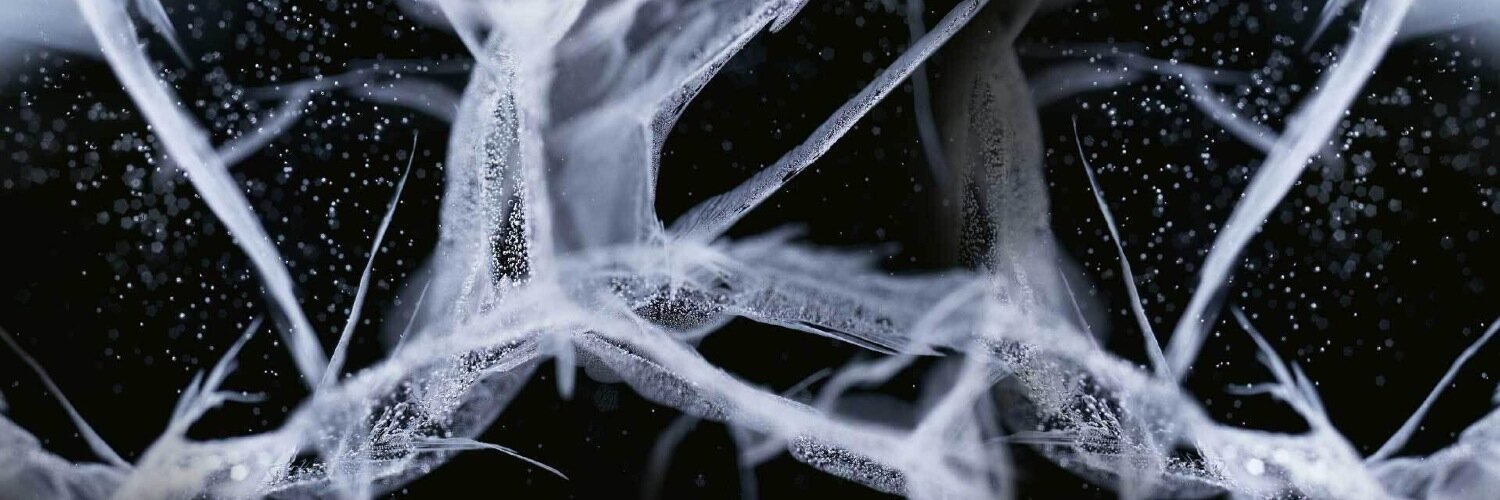 apostol_ru's profile banner image