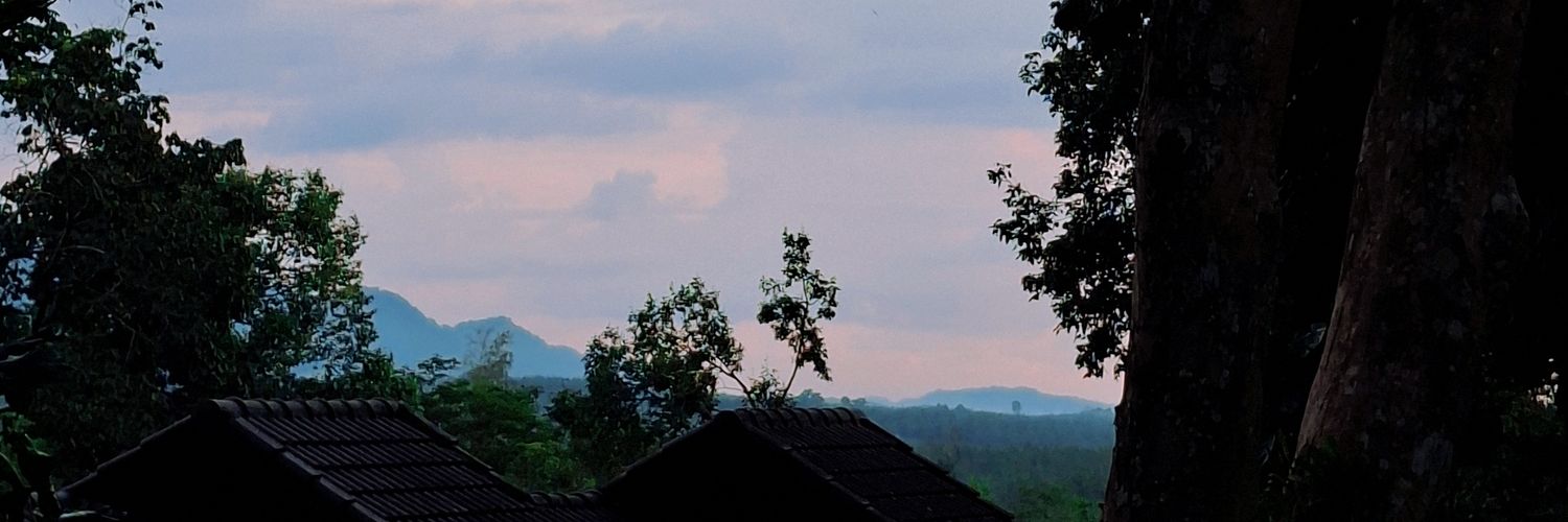 MNKJ___'s profile banner image