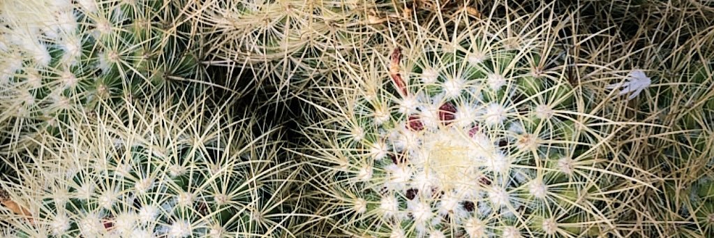 charjstabler's profile banner image