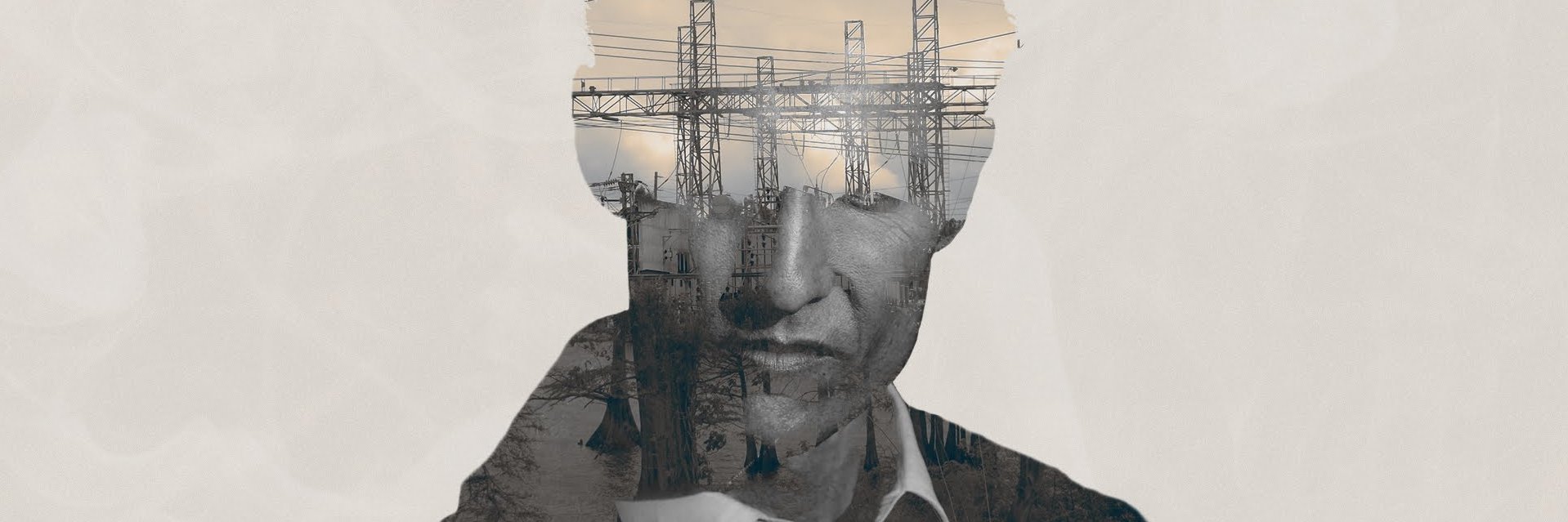 Butterflies for brain banner