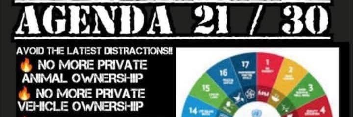 Nikki O'Brien banner