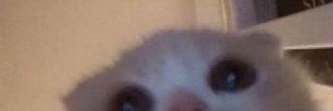 KINNA ♡ banner