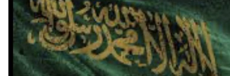 عائشة السيد's banner