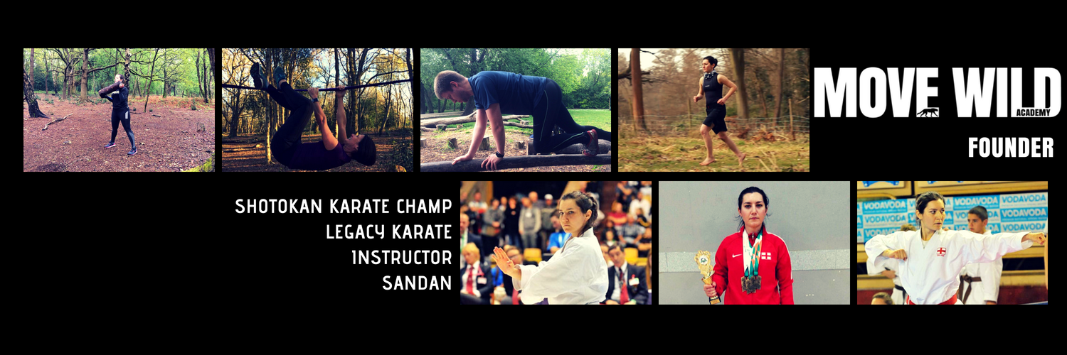 Alexandra Merisoiu banner