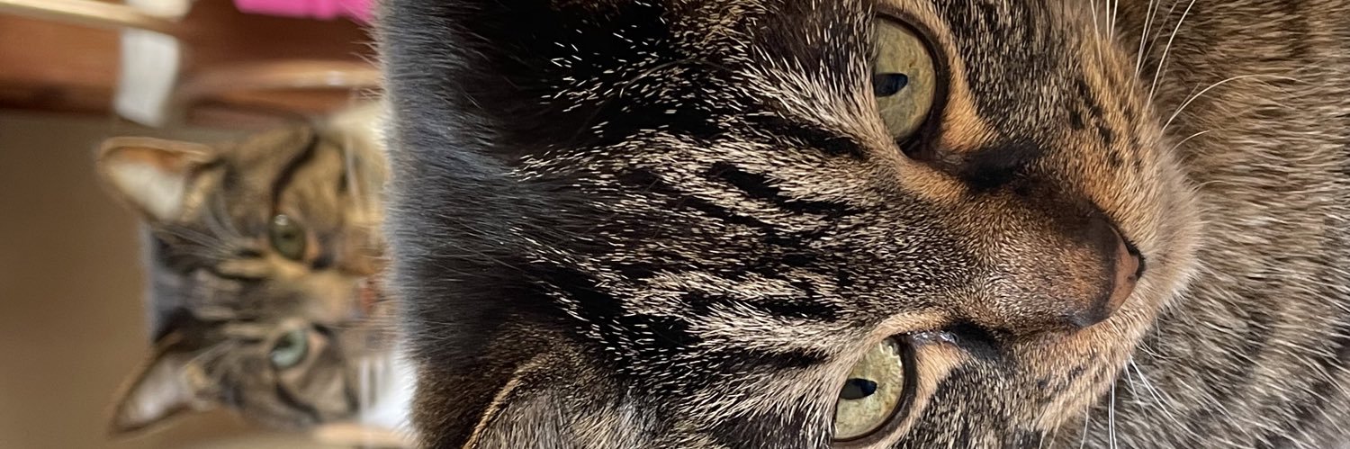 D10sjmd's profile banner image