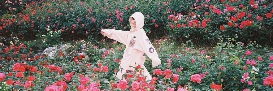 jヾ🦋 banner
