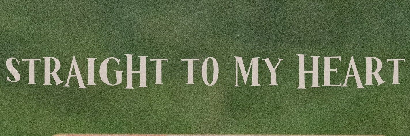 에치 banner