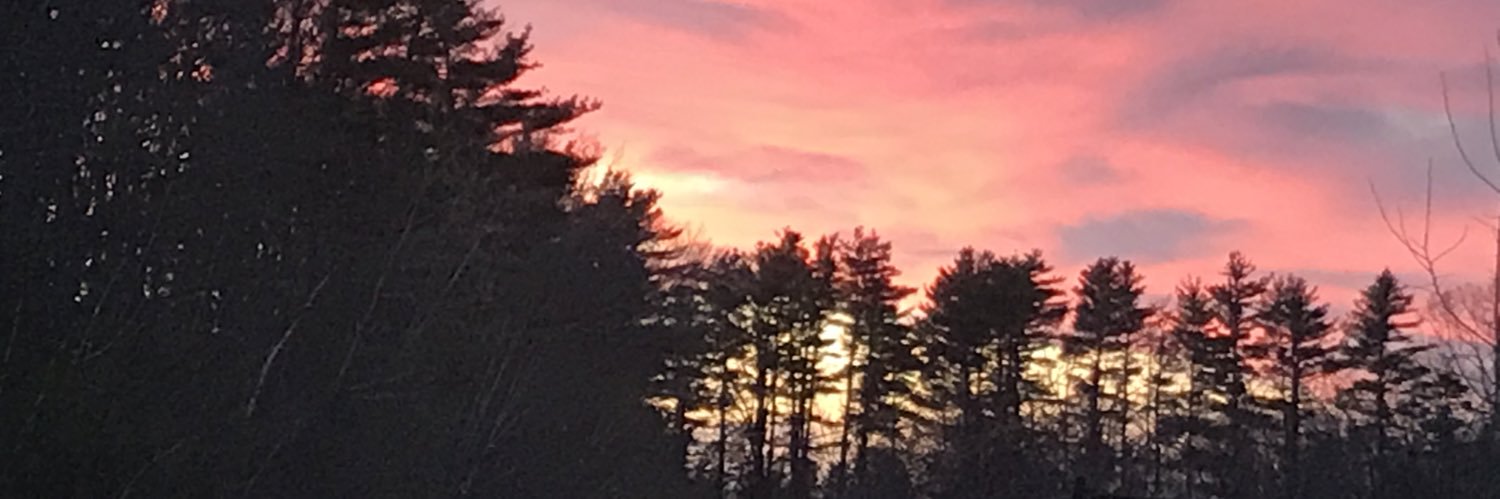 MorrisonIIKat's profile banner image