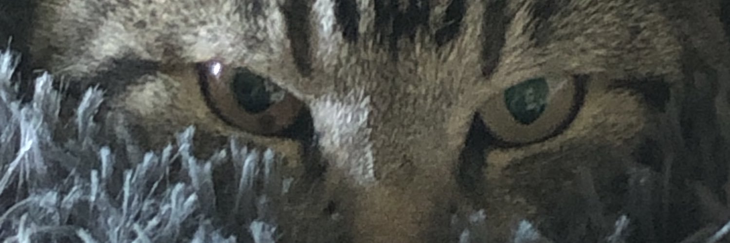 LipsAreMoving's profile banner image