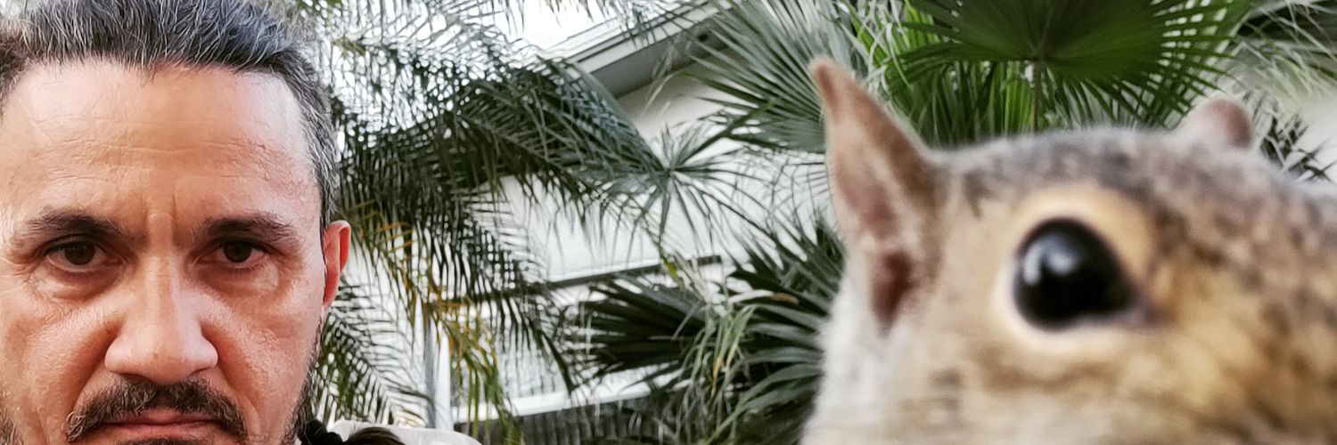 TheeRockSchool's profile banner image