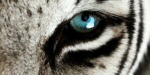 uflafa's profile banner image