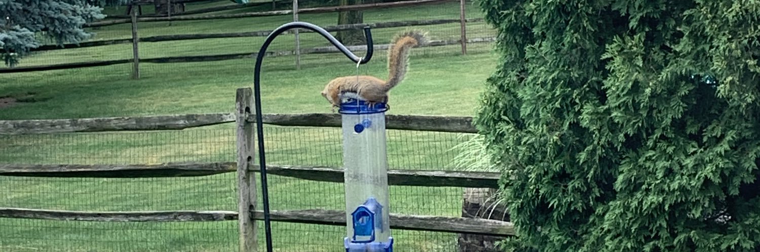 Keith Instone banner