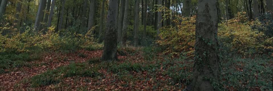 afnanaaf's profile banner image