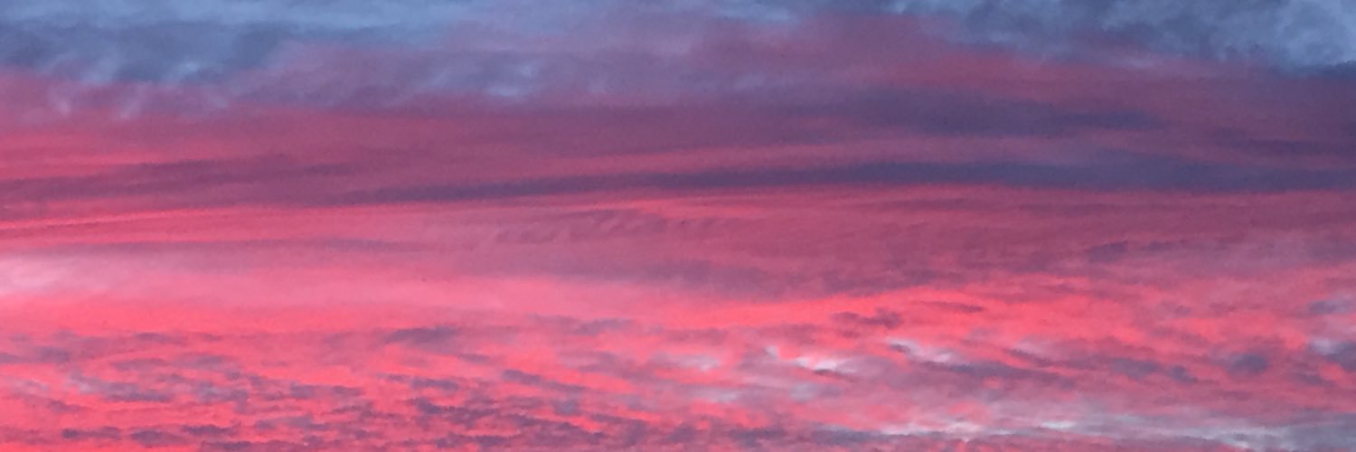 AlexandraSuich's profile banner image