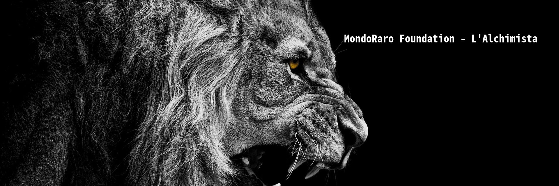 MondoRaroBlog's profile banner image