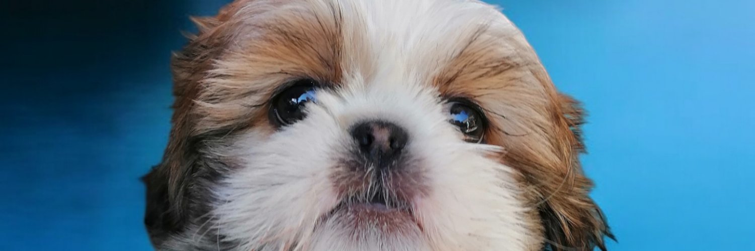 AlinMKY's profile banner image