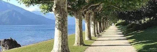 MegaStrateji Profile Banner