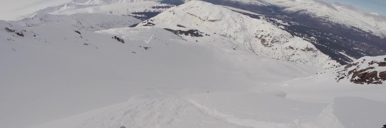 Rob Reed banner