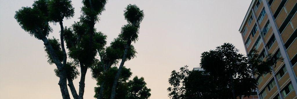 KjSir's profile banner image