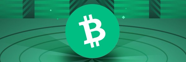 BCH-Army Profile Banner