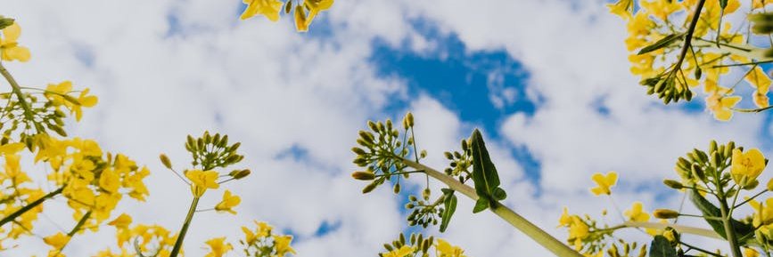 suagcenter's profile banner image
