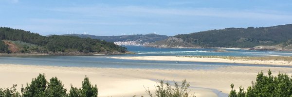 ebullido Profile Banner