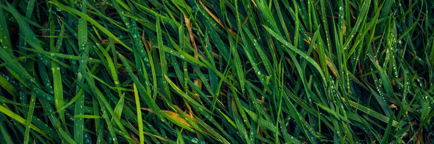 LukLau's profile banner image