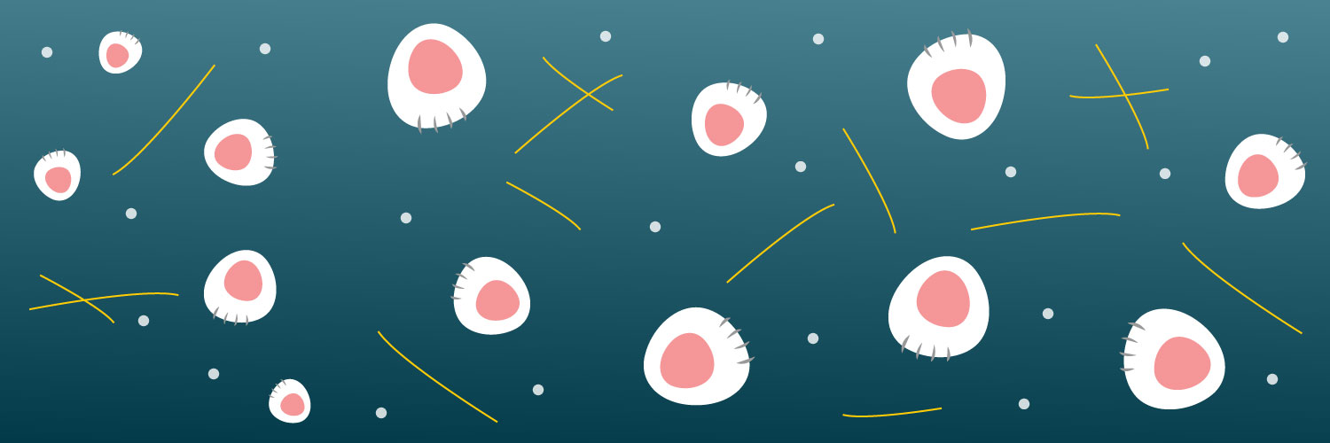 cococatdesign's profile banner image