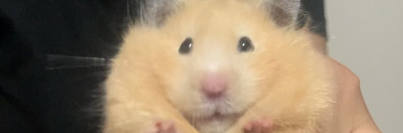 danys_gg's profile banner image