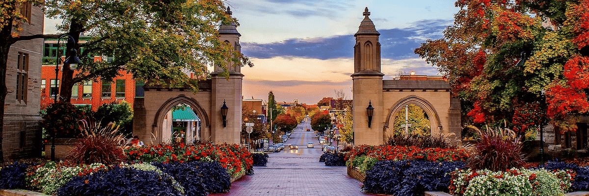 Alberto Ortega banner