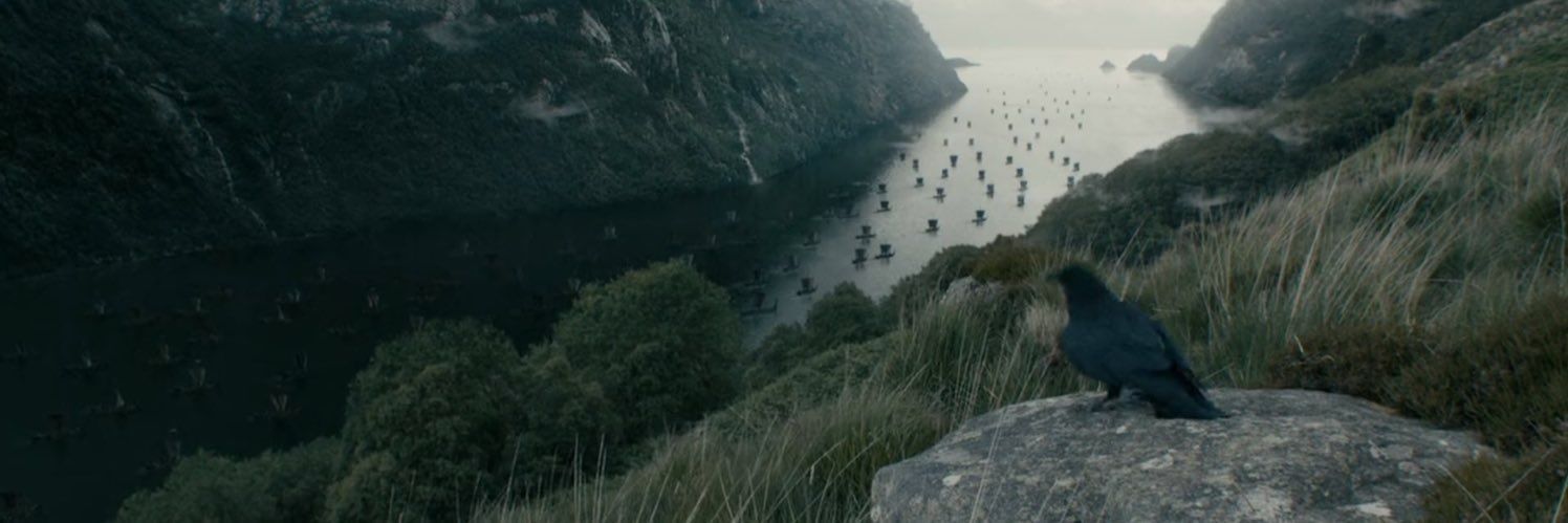 Twittos Dissident banner