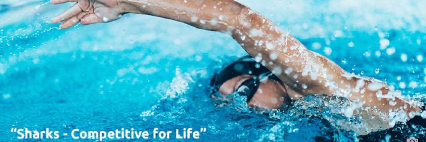 Stratford Sharks banner