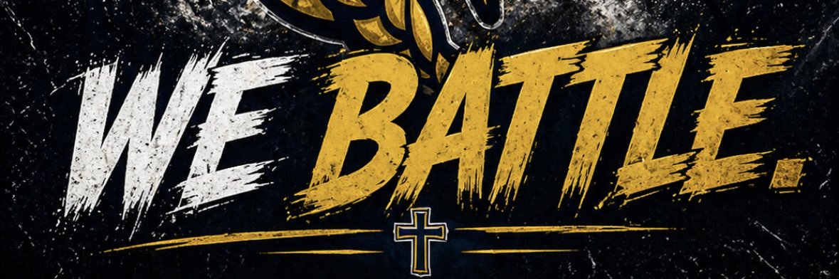 Vikings Basketball banner