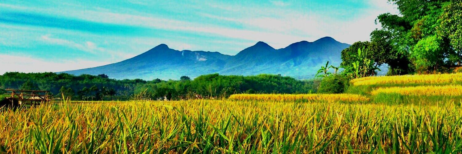 Aidul Fitriciada A banner