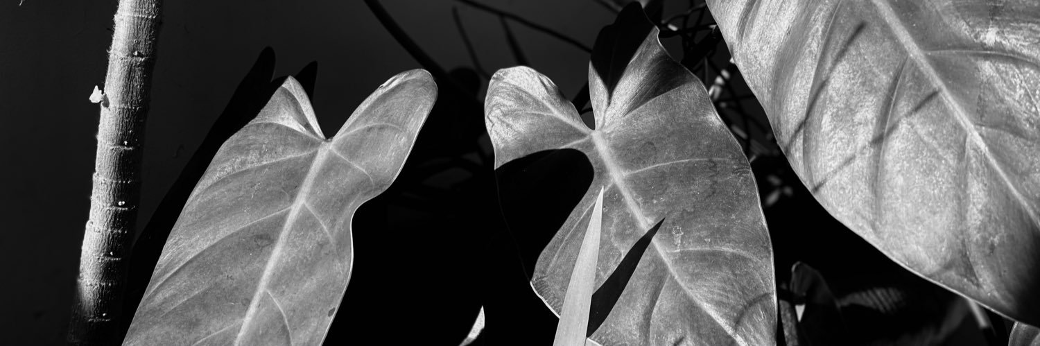lukels's profile banner image