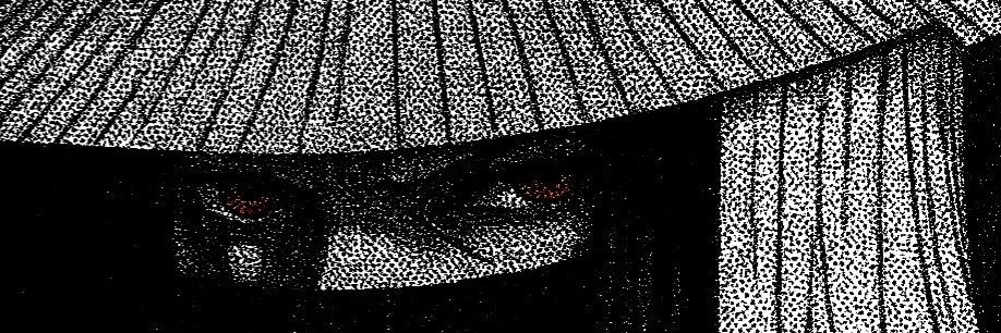 barisottii's profile banner image